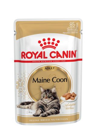 Maine Coon Adult (in gravy)